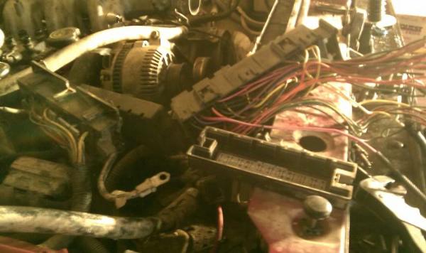 1989 Ford Bronco II 2.9L To 1994 Ford Explorer 4.0L Engine Swap